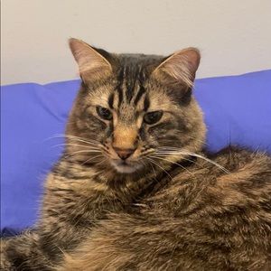 Meet your Posher, Vanessa